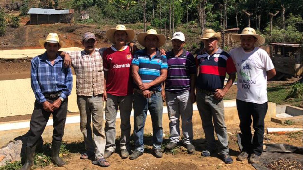 Guatemala'da Kahve Çiftliklerine Ziyaret